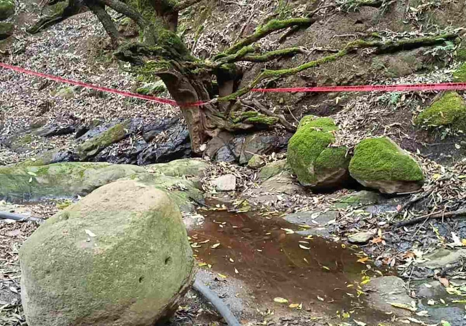 El Gobierno del Estado de México ya solicitó la declaratoria de Emergencia y aplicación del Plan DNIII en Magdalena Chichicaspa, ante el derrame de combustible en los manantiales. Foto: Gisela González Granados / EL UNIVERSAL