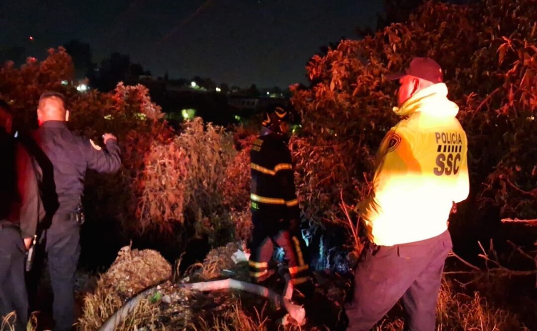 Sofocan incendio en Bosque de Chapultepec. Foto: Especial