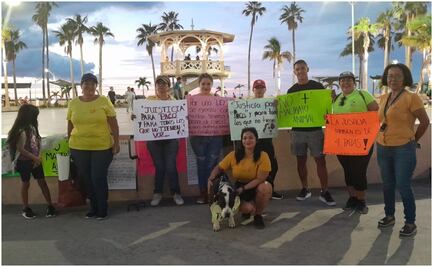 Vinculan a proceso a hombre por maltrato animal en BCS; lesionó con cuchillo a un perrito