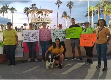 Vinculan a proceso a hombre por maltrato animal en BCS; lesionó con cuchillo a un perrito