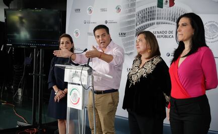 Senadores del PAN recurren a TEPJF por elección de Rosario Piedra en CNDH