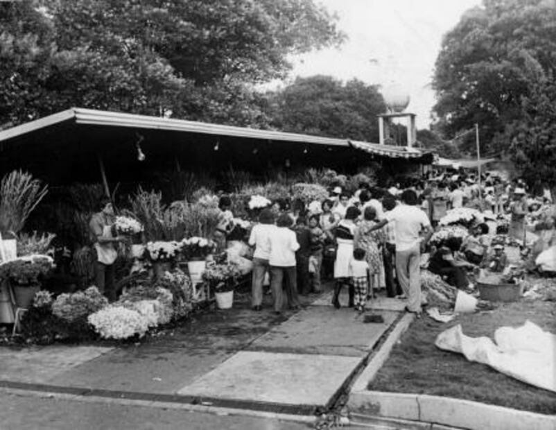 Sepulturero, oficio que se aprende desde niño