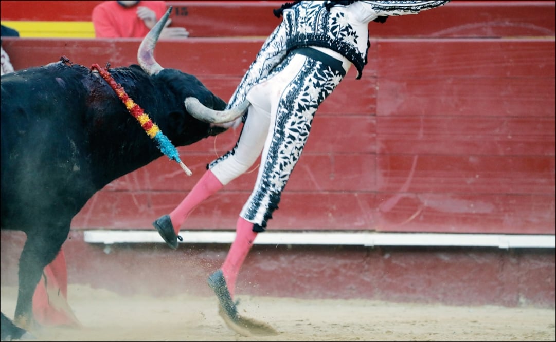 Durante la faena de muleta al quinto toro de la corrida de hoy de la feria de Fallas de Valencia. Foto: EFE