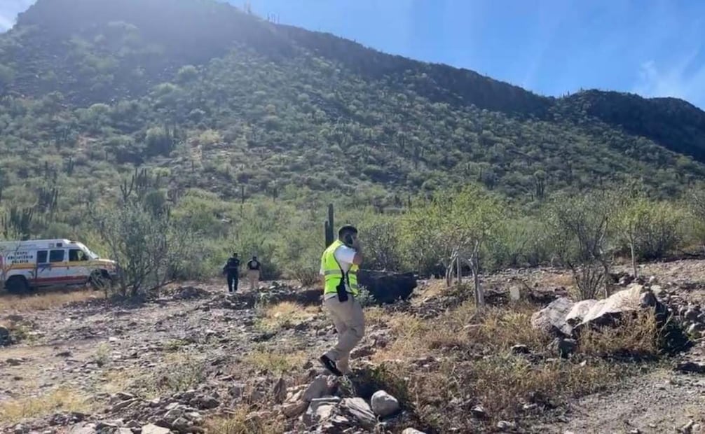 Ciudadanos rescatan delfines varados en el malecón de La Paz,BCS; cuerpos de emergencia rescatan a joven en el Cerro Atravesado.
Foto: Especial.