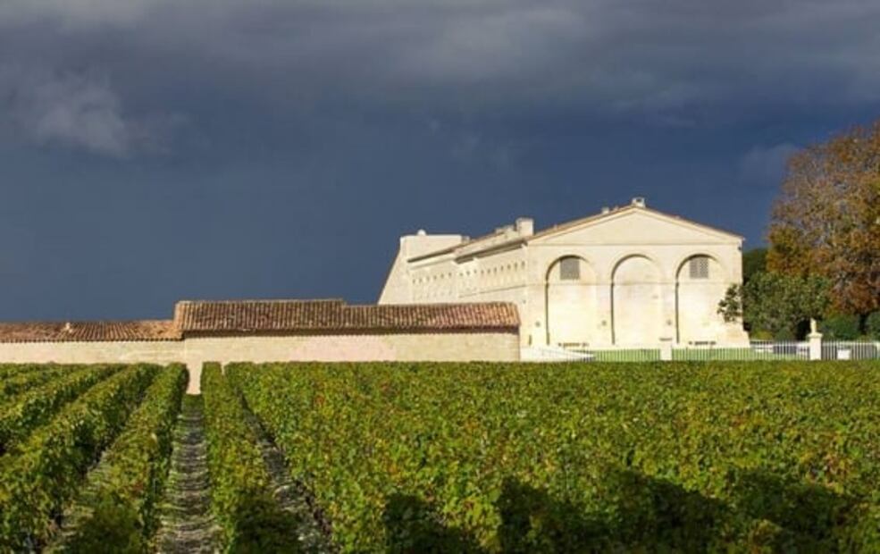 Subastan obra gráfica de Tamayo plasmada en una botella de vino francés, ¿la comprarías?