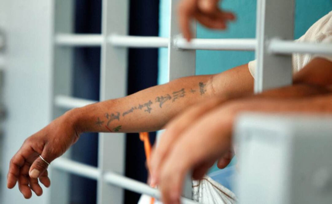 Ley De Amnistia: ¿En qué consiste la reforma de AMLO? Foto: EL UNIVERSAL