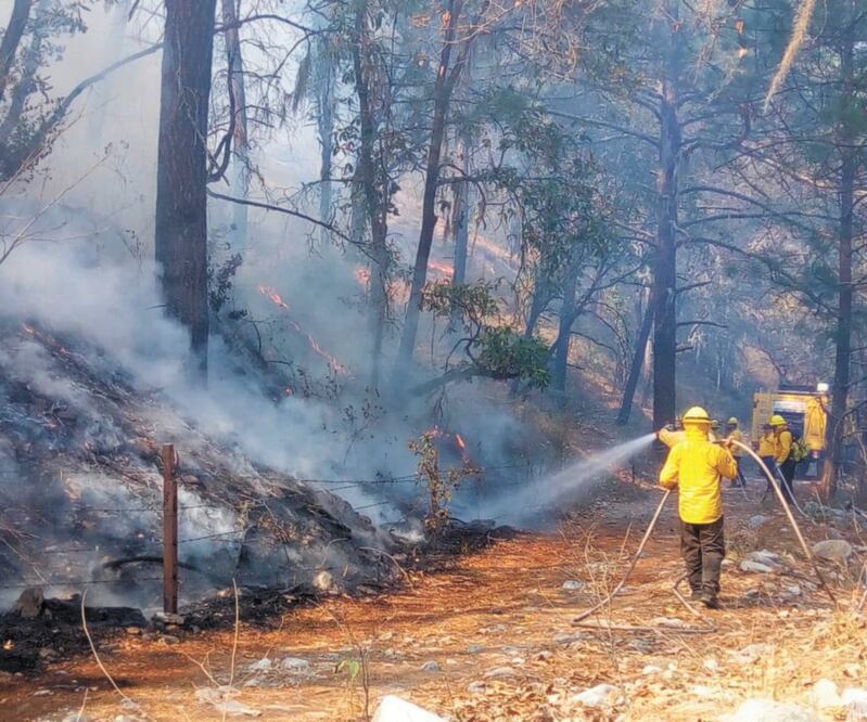 Personal profesional reanudó las labores de combate al fuego en las primeras horas del sábado en el lugar conocido como Ciénega de González. Foto: ESPECIAL