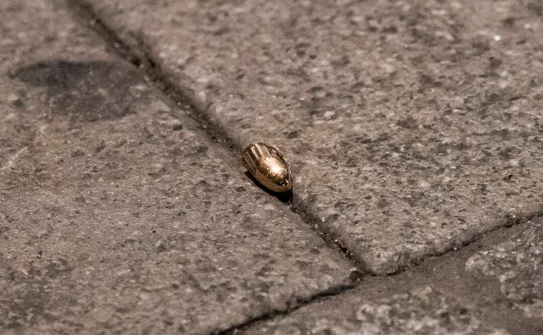 Imagen ilustrativa. Foto: AP