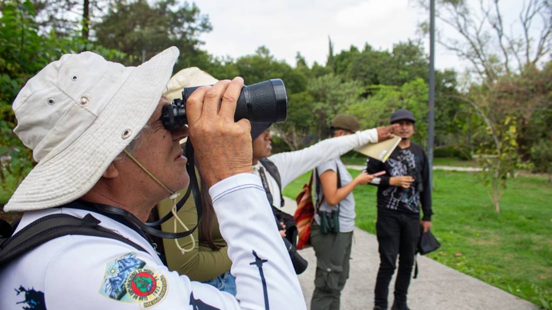 Foto: Bosque de Chapultepec