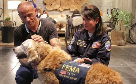 Vuelve a NY perra que participó en rescates el 11-S