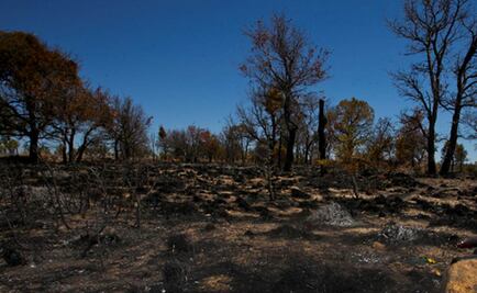 Sequía pega a 108 municipios del Estado de México