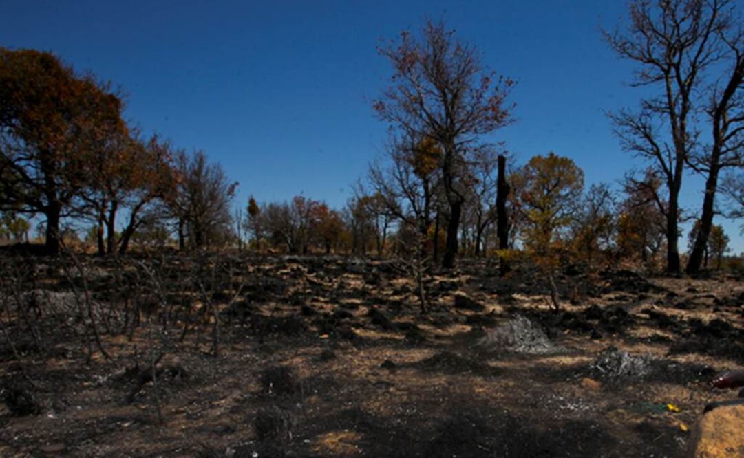 Imagen ilustrativa sobre como la sequia afecta el Estado de México. Foto: EL UNIVERSAL