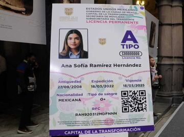 Licencia permanente, trámite en vigencia