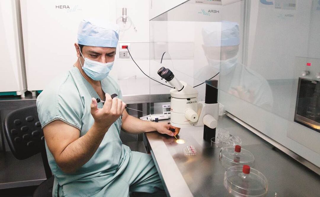 Instalaciones y laboratorio del Instituto Valenciano de Infertilidad (IVI), en donde se realiza la extracción de óvulos maduros a las donantes. El médico hace una simulación del análisis y tratamiento de los gametos femeninos para su fecundación.