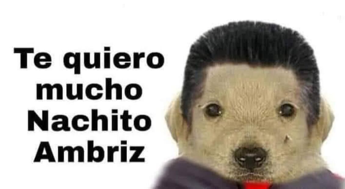 Memes América