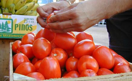 Acuerdo de exportación de jitomate México-EU entrará en vigor el 19 de septiembre