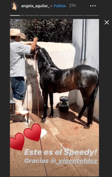 Cuestionan maltrato a los caballos de Pepe Aguilar