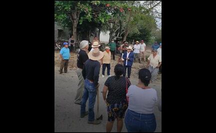 Denuncian retención ilegal de 8 porcicultores por parte de presuntos ambientalistas en Yucatán