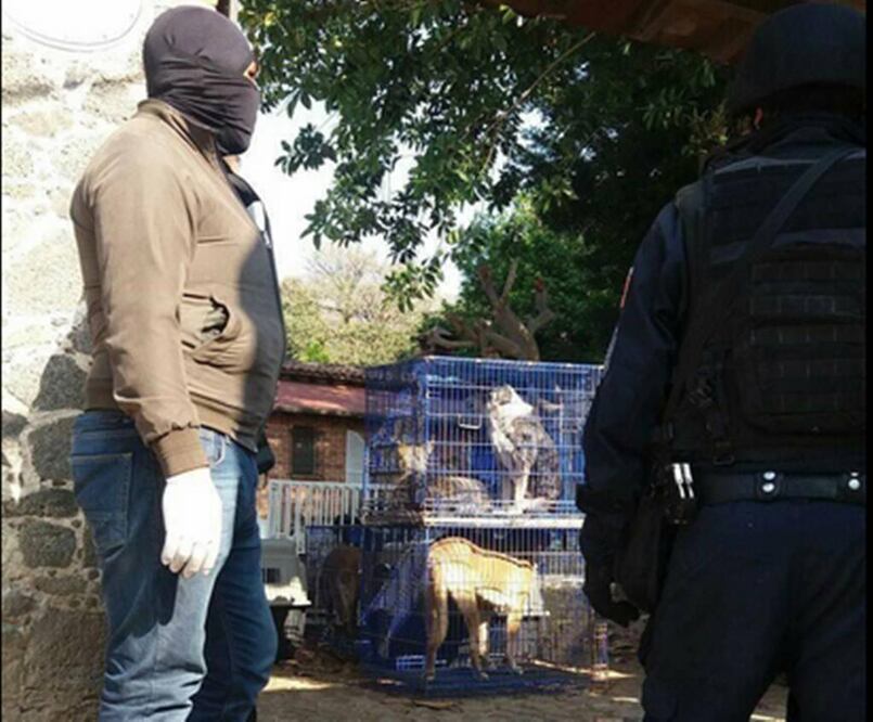 Foto; Twitter @Gepda