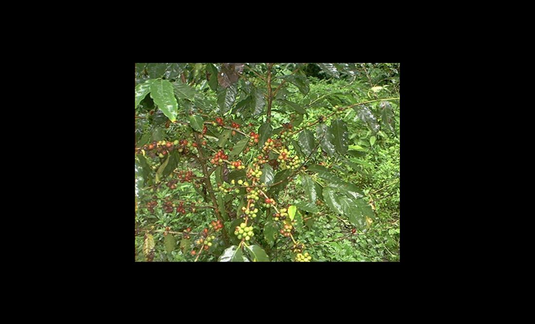 Foto: Archivo El Universal