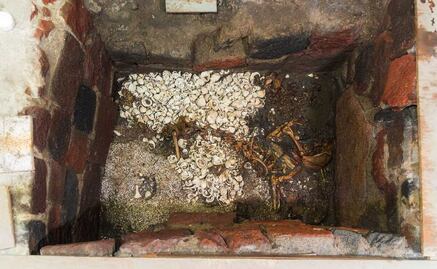 Así se ve la ofrenda del jaguar enterrado en posible tumba de emperador azteca en Templo Mayor