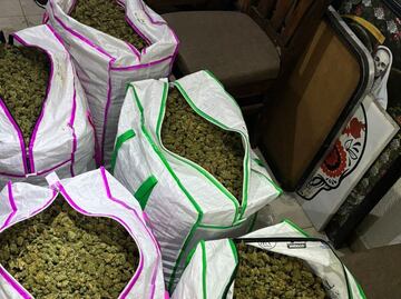 Aseguran 100 kilos de marihuana en colonia Morelos, alcaldía Venustiano Carranza