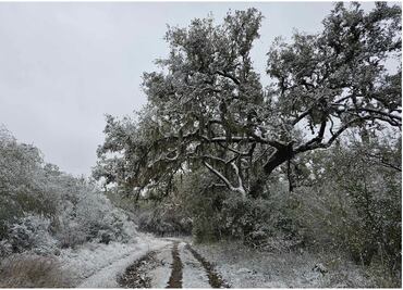 Onda gélida deja increíbles paisajes en Tamaulipas; decenas de familias llegan al Mirador Alta Cumbre para tomar fotografías