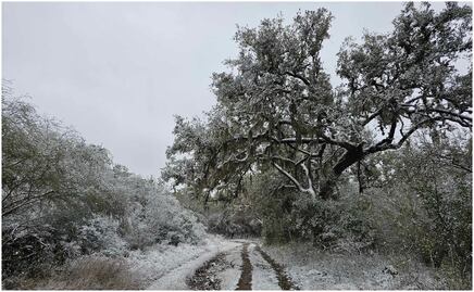 Onda gélida deja increíbles paisajes en Tamaulipas; decenas de familias llegan al Mirador Alta Cumbre para tomar fotografías