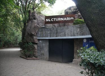 ¡Ya lo puedes visitar! Chapultepec estrena “Nocturnario”