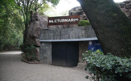 ¡Ya lo puedes visitar! Chapultepec estrena “Nocturnario”