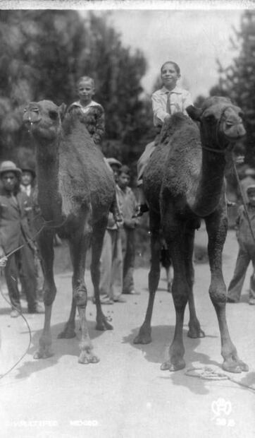 El zoológico antes de Bantú