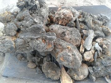 Restos de ejidio Patrocinio corresponden a sólo 3 víctimas