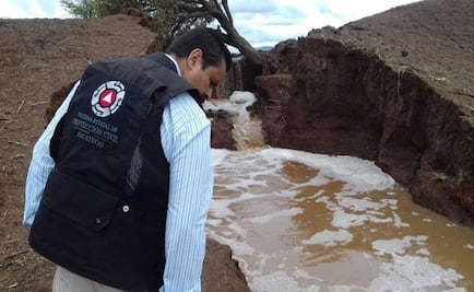 Reportan pérdida de 200 cabezas de ganado por lluvias en Zacatecas