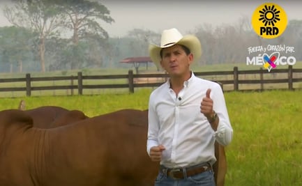 VIDEO "Estoy cansado de los políticos chapulines”: Así pedía el voto el senador del PRD que se pasó a Morena  