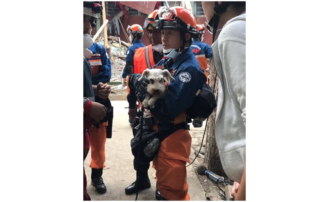 Foto: Facebook Embajada del Japón en México