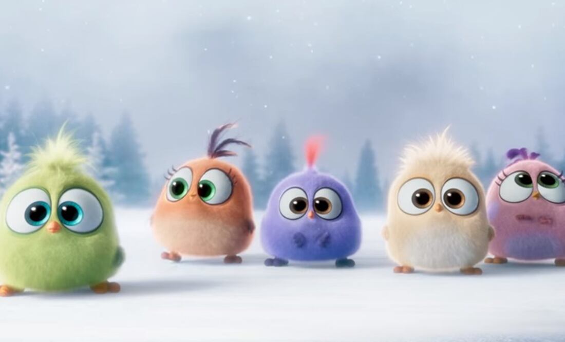 Foto: Tomada de video