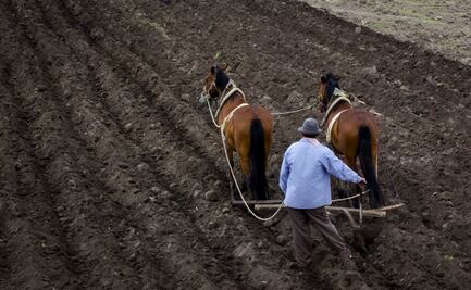 Acuerdan estrategias a favor de derechos de jornaleros 
