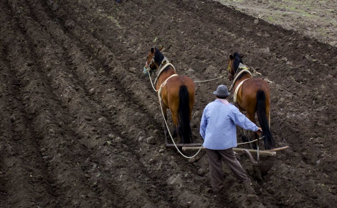 Foto: Archivo/EL UNIVERSAL