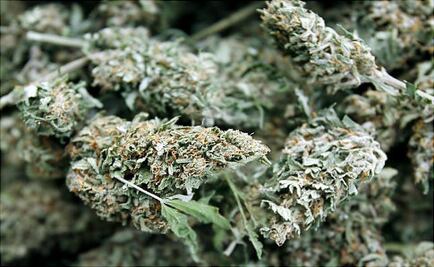 Marijuana bundle drops from sky, slams into family's carport