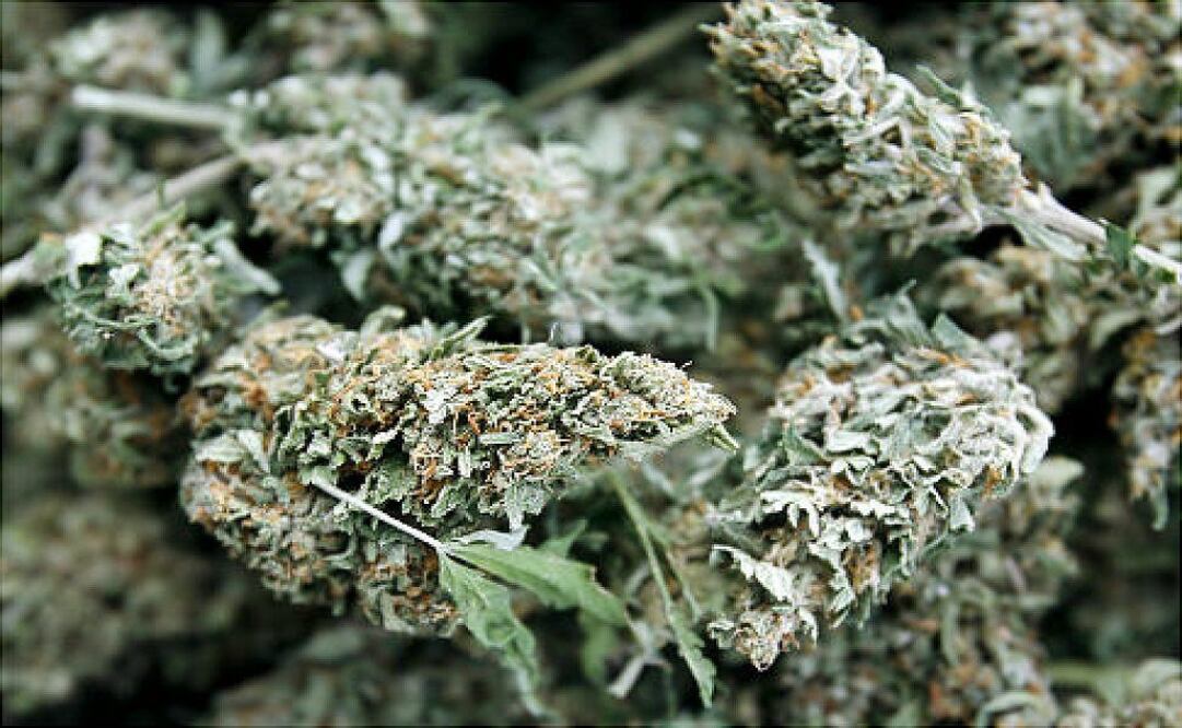 Authorities say the package was worth US$10,000. (Photo: AP) 