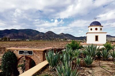 La Ruta del Vino, un agasajo para el paladar 