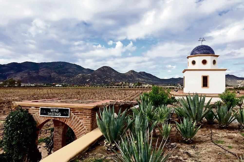Ubicado en Ensenada, El Valle reúne paisajes increíbles de la región con sabores y texturas que satisfacen hasta al paladar más exigente (CRÉDITO DE FOTO)