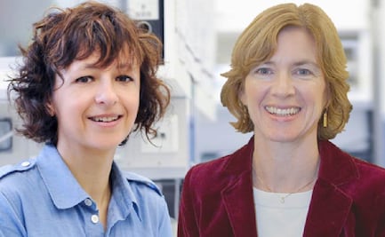 Charpentier y Doudna ganan Premio Princesa de Asturias en Investigación