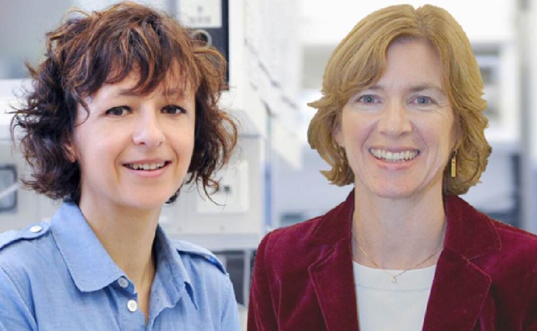 Las científicas son pioneras en aplicar la técnica denominada CRISPR-Cas9 que actúa como una tijera molecular para cortar y sustituir con gran precisión letras de ADN. FOTO: Fundación Princesa de Asturias