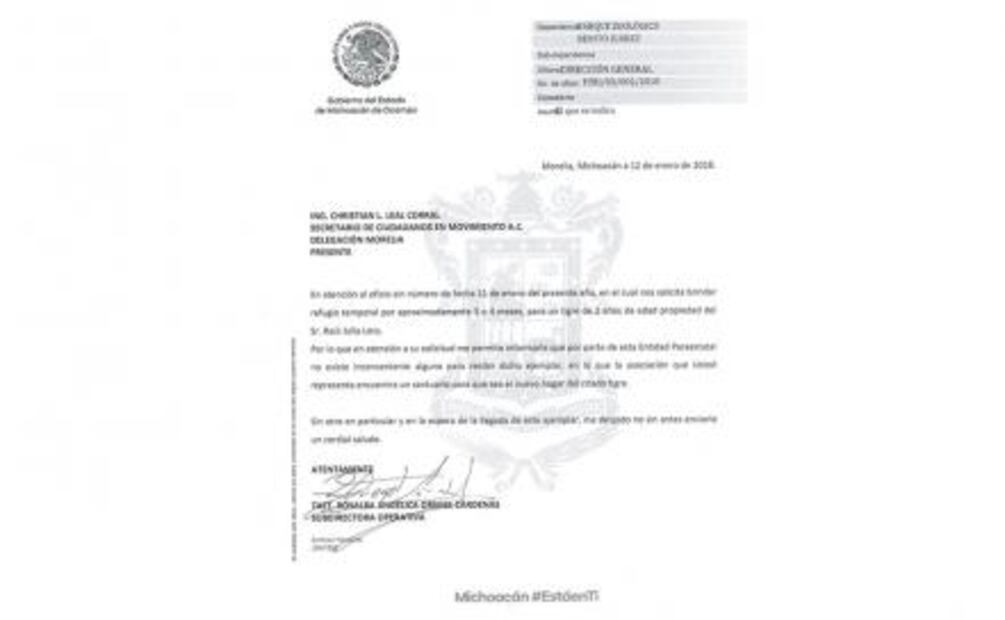 Actor reclama a Profepa custodia de tigre asegurado en Sonora