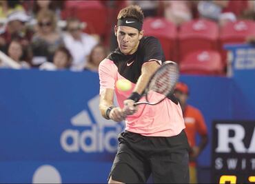 Del Potro sí defenderá el título en el Abierto Mexicano de Tenis