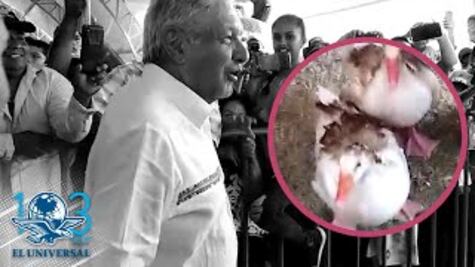 Regalan gansos a López Obrador en Campeche