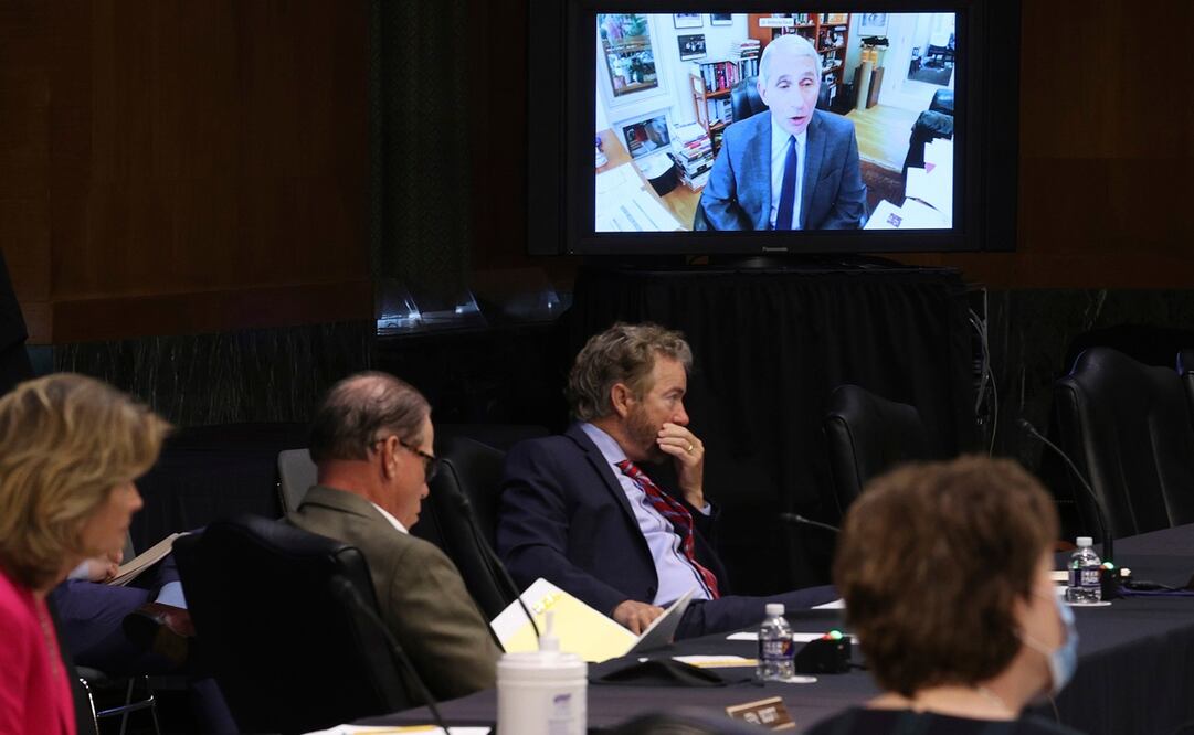 El principal especialista del gobierno estadounidense para enfermedades infecciosas, el doctor Anthony Fauci, durante una video conferencia sobre el covid-19 en EU (Foto: AP)