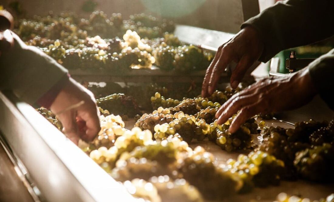 Foto: @vinostierraadentro