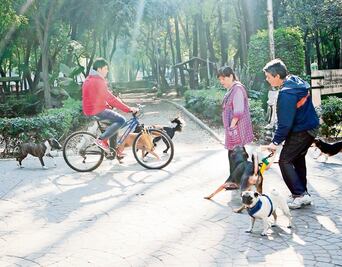 Entérate. Cinco lugares para pasear a tu perro
